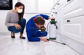 Best Emergency Pest Control  in Atlantic Beach, FL